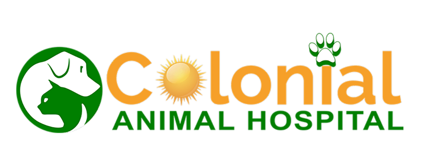Colonial Animal Hospital