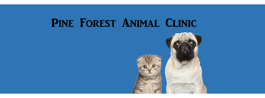 Pine Forest Animal Clinic