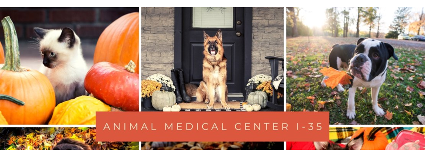 Animal Medical Center I-35