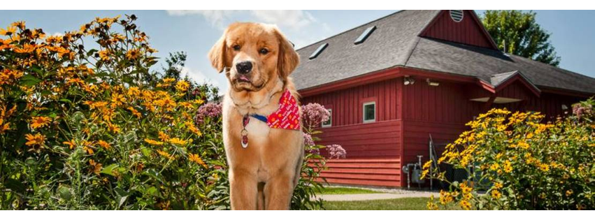 Animal Hospital of Hinesburg
