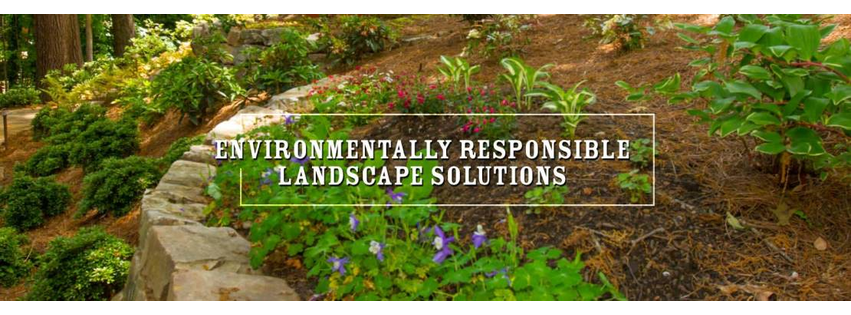 Michaelangelo's Sustainable Landscape & Design Group