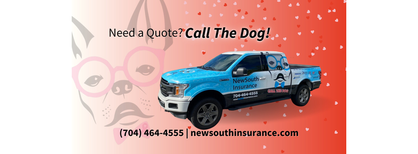 New South Insurance Group