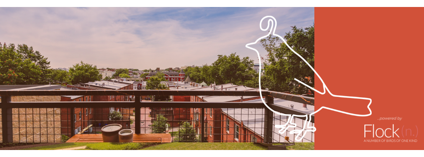 Nest DC