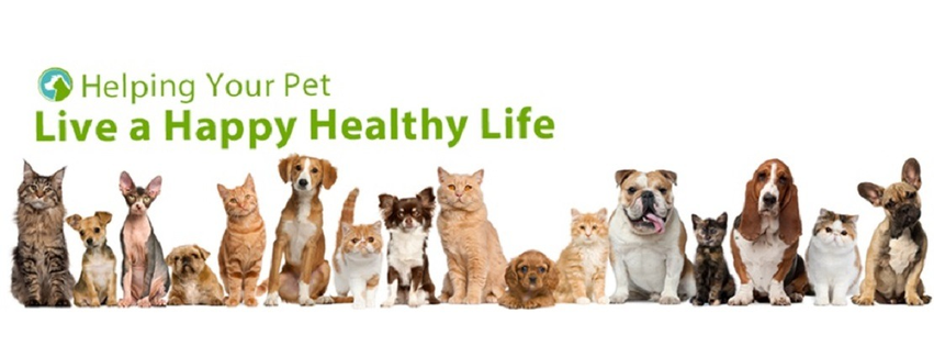 Allegheny Veterinary Associates