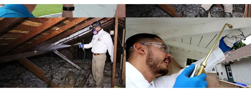 Tanler Termite and Pest Control Laguna