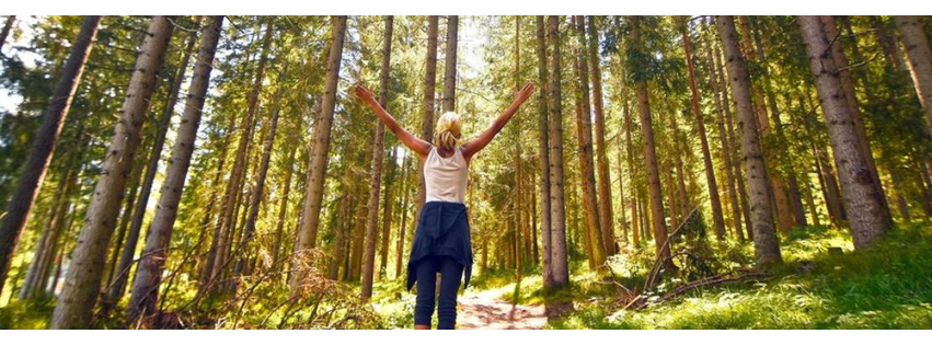Pinelands Recovery Center of Medford; Drug and Alcohol Treatment