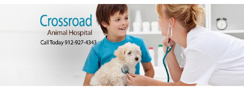 Crossroad Animal Hospital