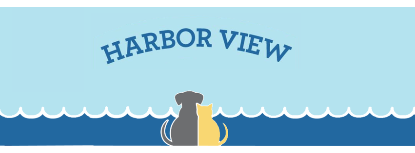 Harbor View Veterinary Hospital