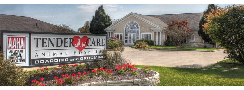 Tender Care Animal Hospital