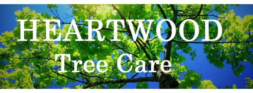 Heartwood Tree Care