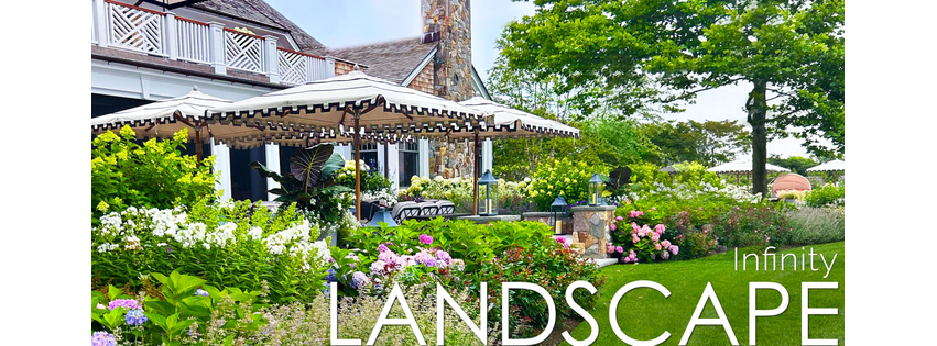 Infinity Landscape and Associates