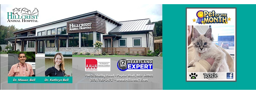 Hillcrest Animal Wellness