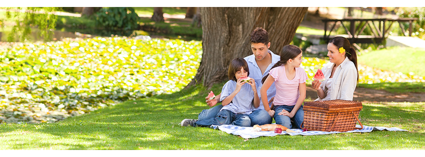 Blue Oak Insurance Agency
