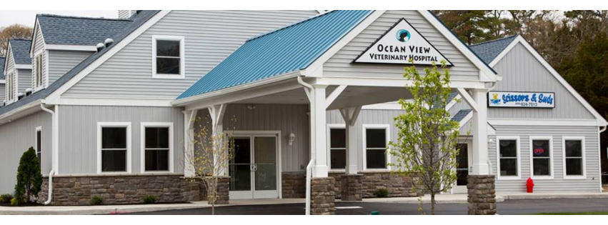 Ocean View Veterinary Hospital