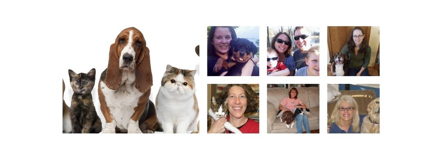 Southdale Pet Hospital