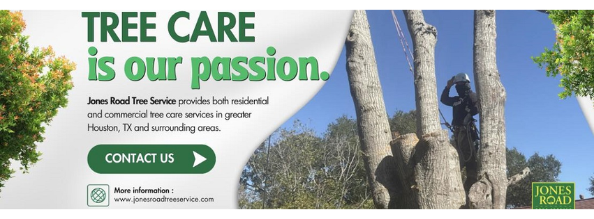 Jones Road Tree Service
