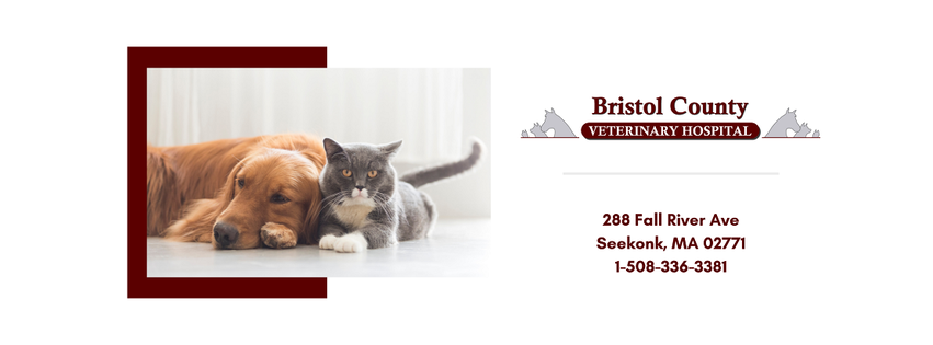 Bristol County Veterinary Hospital
