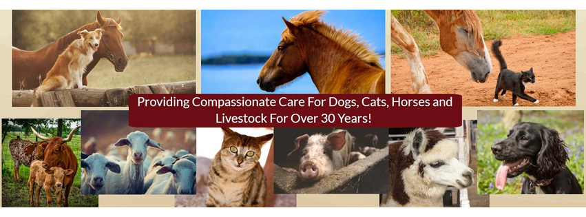 Adobe Veterinary Equine and Livestock Center