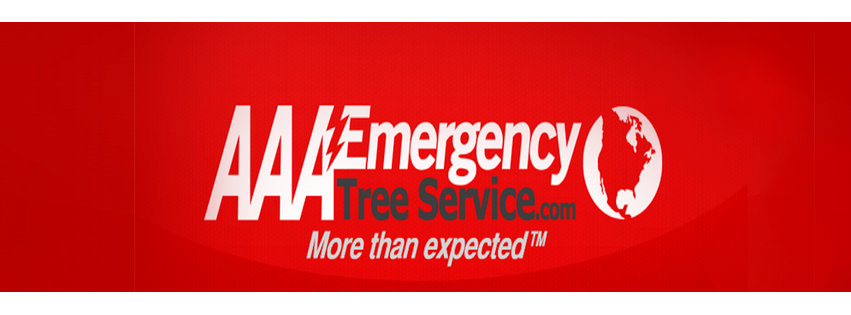 AAA Emergency Tree Service - Denver, CO
