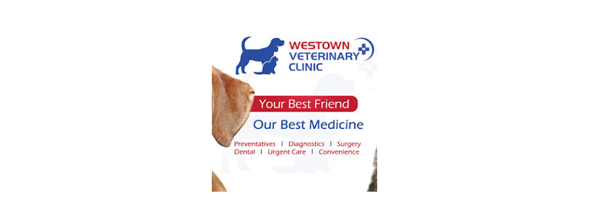 Westown Veterinary Clinic