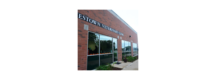 Westown Veterinary Clinic
