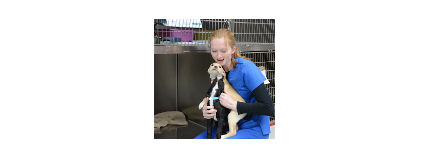 Westown Veterinary Clinic