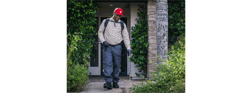Phoenix Pest & Termite Control