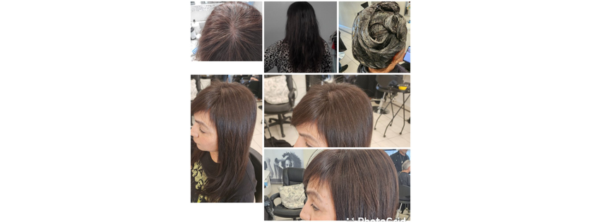 Blowdry Hair Plus