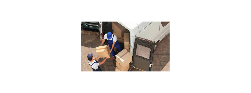 Will Deal Moving Company