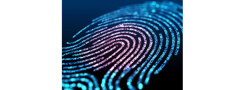 1 Scan Fingerprinting Service