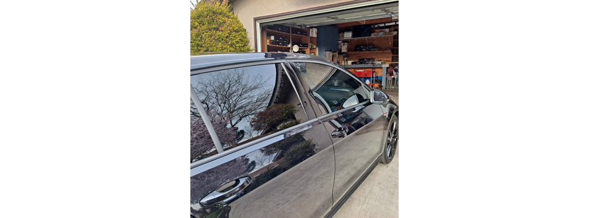Dynamic Window Tint