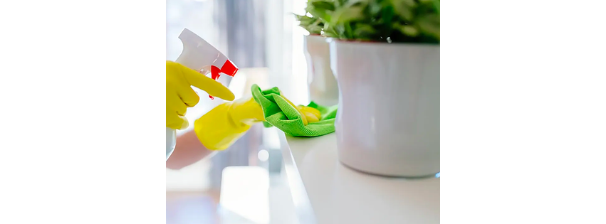 Edilene Your Cleaning Services