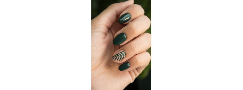 Aurora Borealis Nails and Scalp Treatment Spa