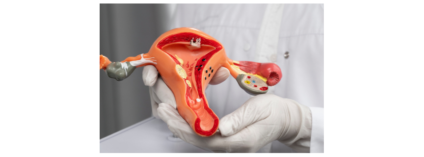 Brain & Spine of Texas, PLLC