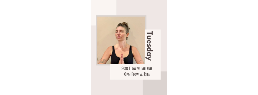 Spirit Warrior Wellness