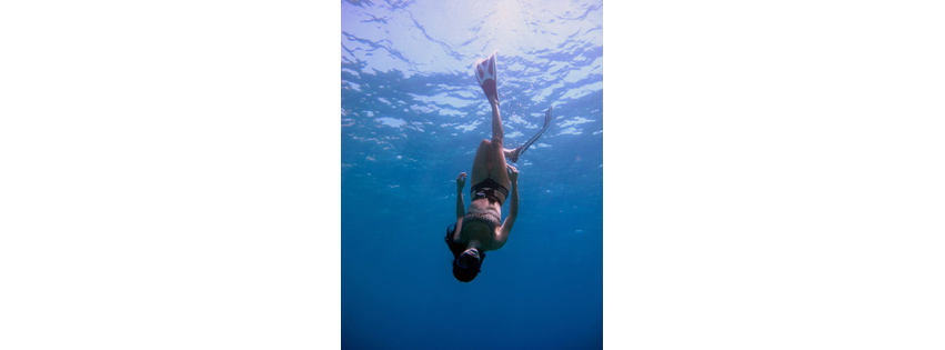 The Dive Shop Inc