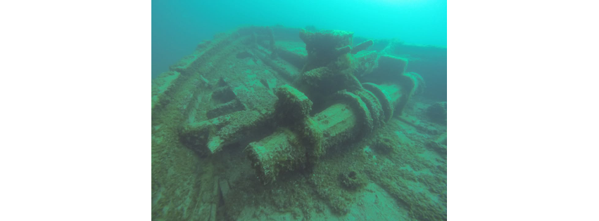 The Dive Shop Inc