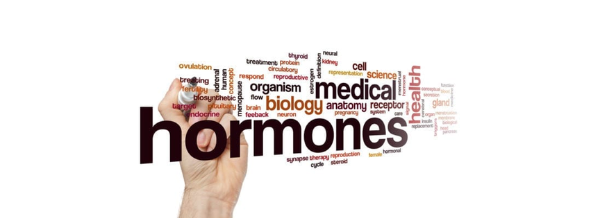 Hormone Health and Weight Loss of Williamsburg, Virginia