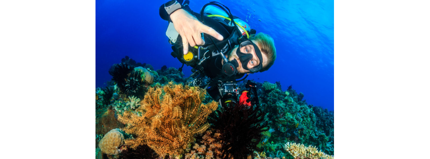 By The Shore Scuba Instructions LLC