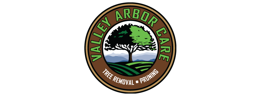 Valley Arbor Care LLC