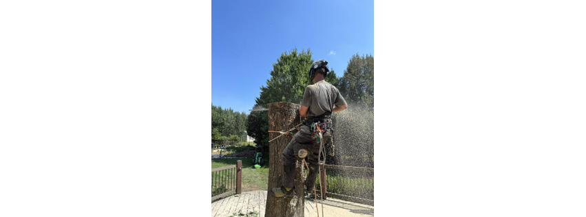 Valley Arbor Care LLC