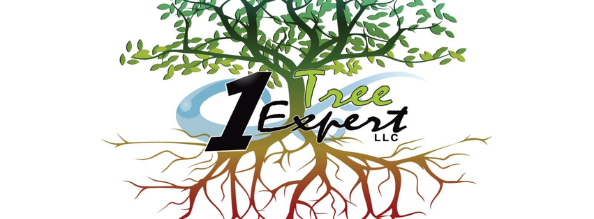 1TREEEXPERTLLC