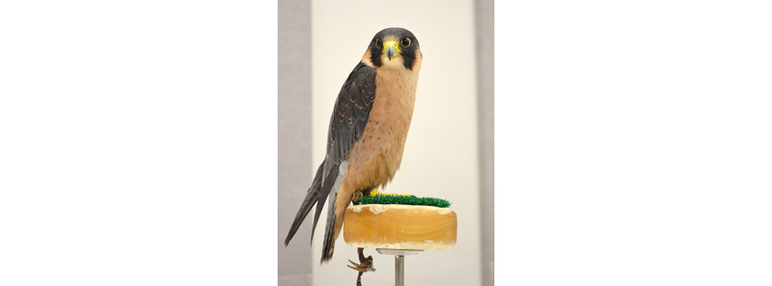 United States -automation2023-11-17 00:02:35.599665