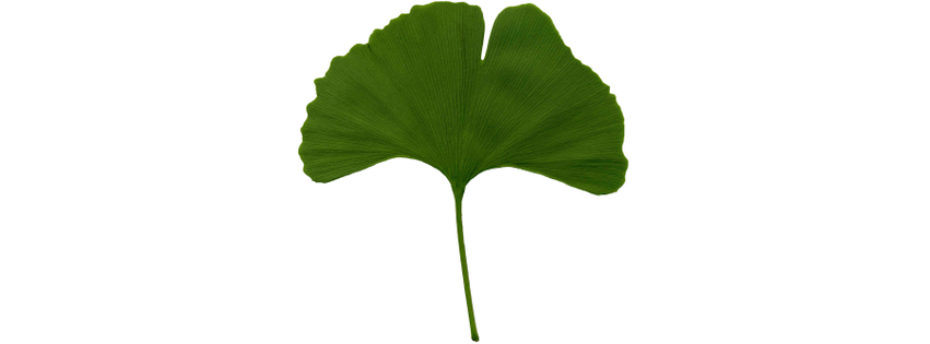 Green Leaf Café