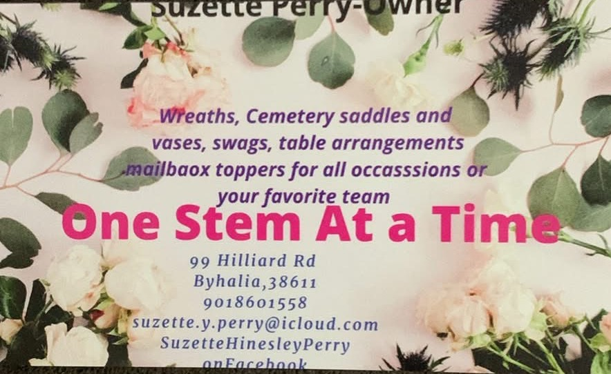 1 Stem At A Time Logo