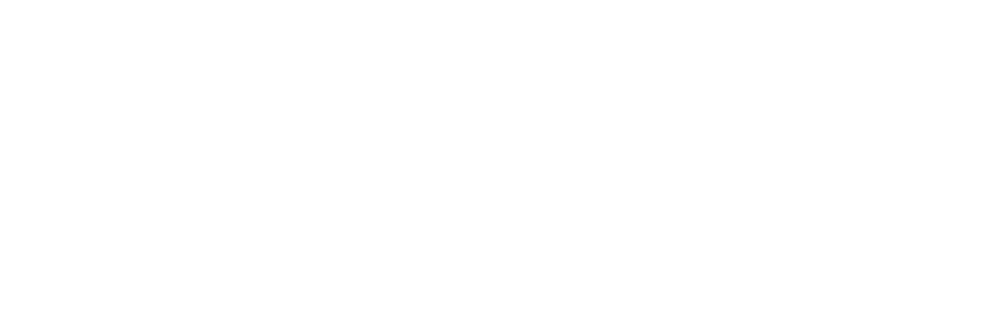 PdM Consulting Logo