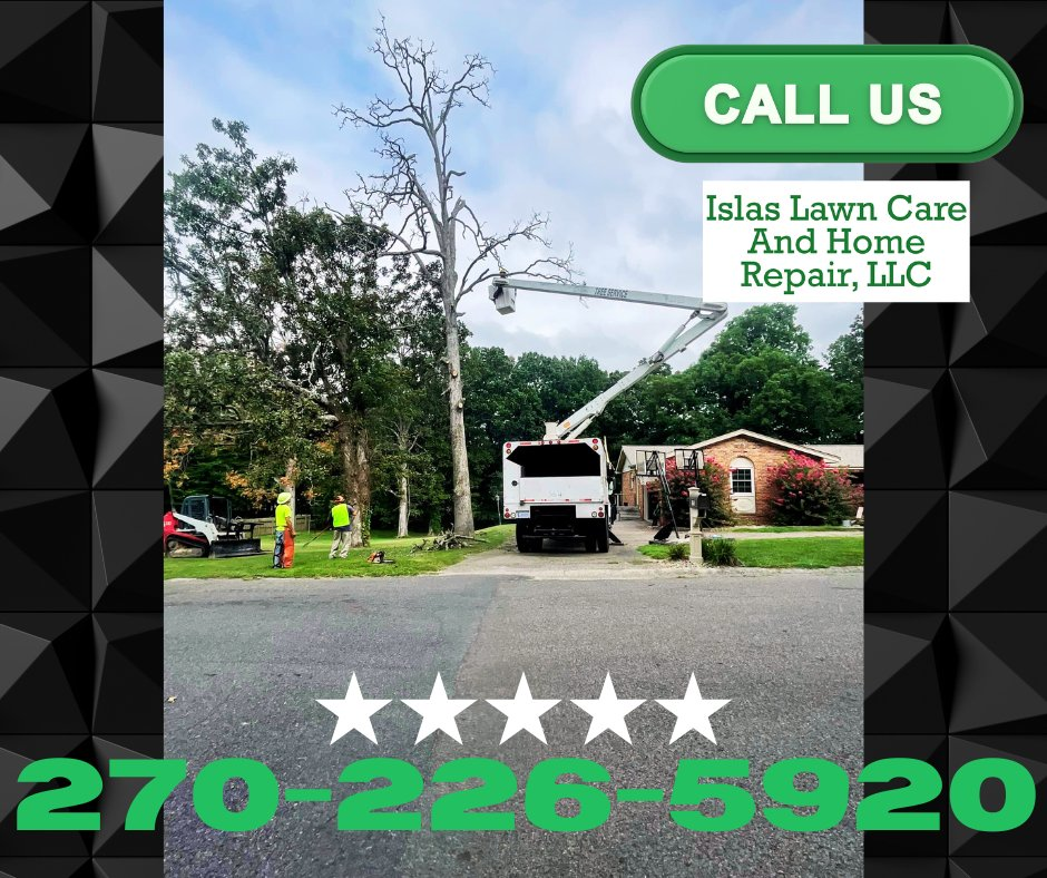 Islas Tree Service LLC Logo