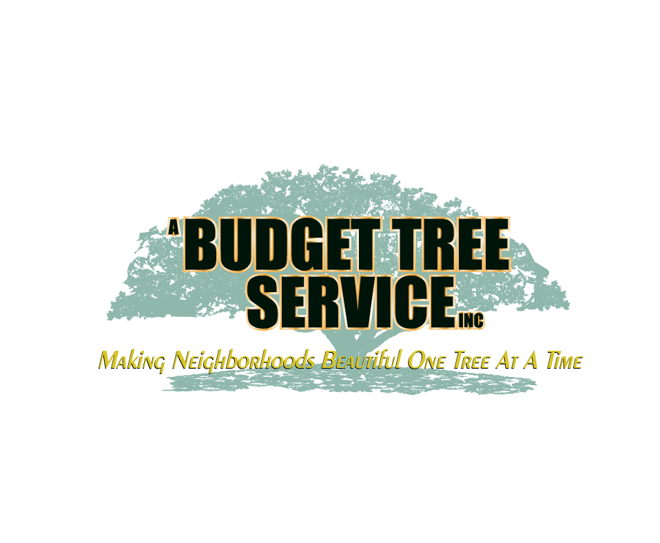 A Budget Tree Service Logo