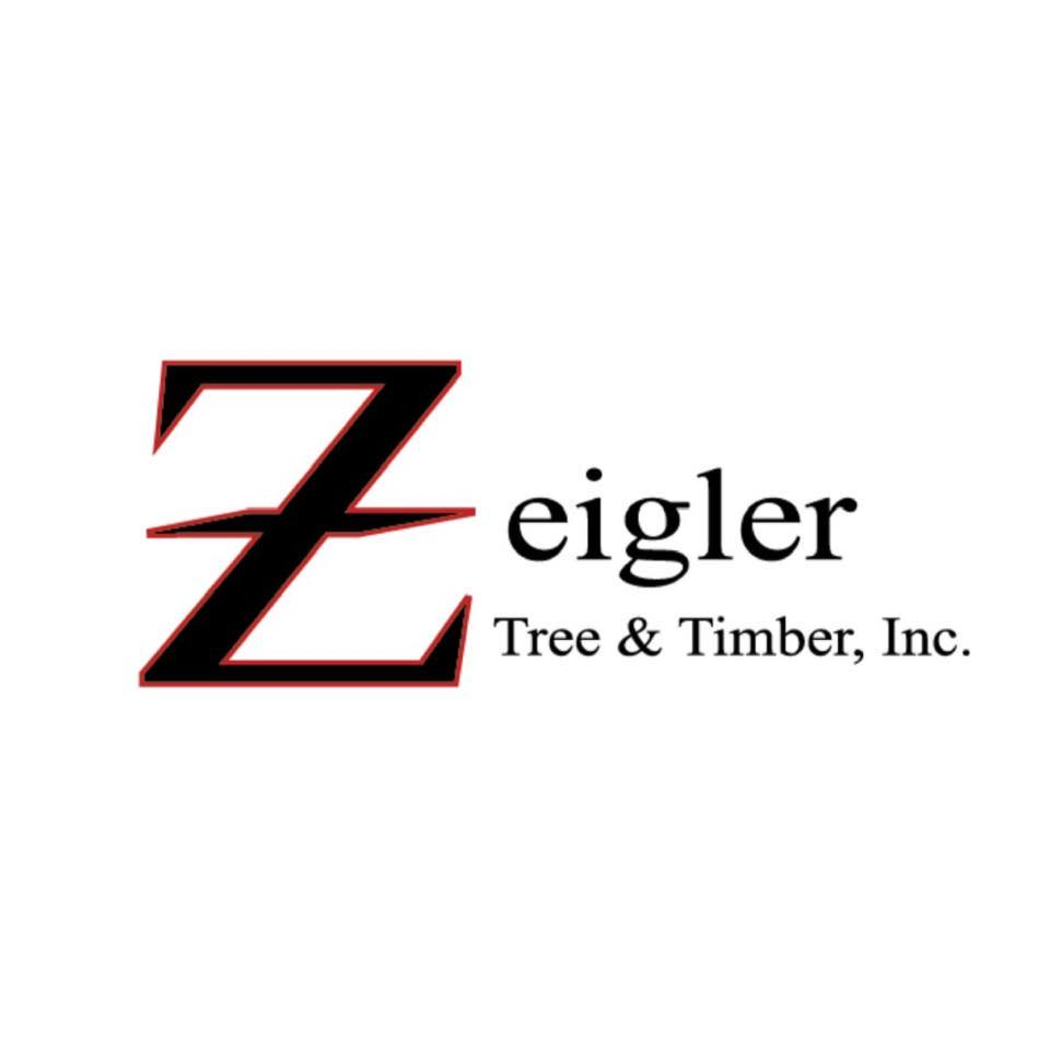 Zeigler&apos;s Stump Grinding and Tree Removal and Excavating Logo